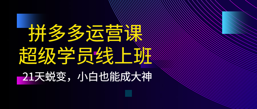 拼多多运营课：超级学员线上班，21天蜕变，小白也能成大神-海淘下载站