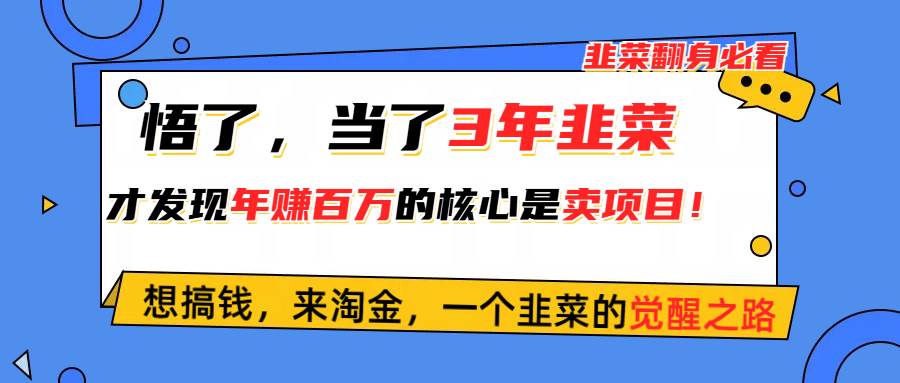 悟了，当了3年韭菜，才发现网赚圈年赚100万的核心是卖项目，含泪分享！-海淘下载站