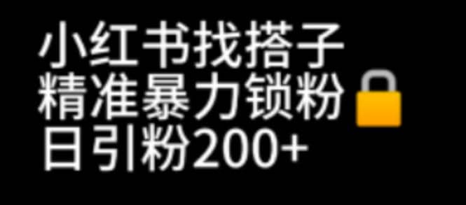 小红书找搭子暴力精准锁粉+引流日引200+精准粉-海淘下载站