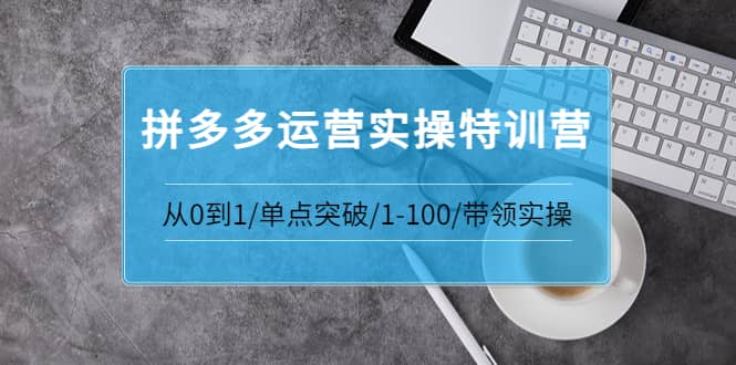 拼多多运营实操特训营：从0到1/单点突破/1-100/带领实操 价值2980元-海淘下载站