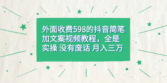 外面收费598抖音简笔加文案教程，全是实操 没有废话 月入三万（教程+资料）-海淘下载站