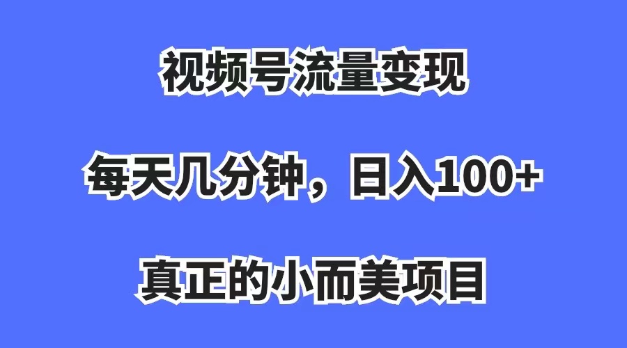 视频号流量变现，每天几分钟，收入100+，真正的小而美项目-海淘下载站