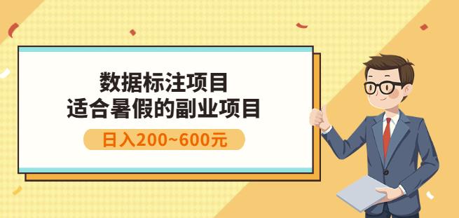 副业赚钱：人工智能数据标注项目，简单易上手，小白也能日入200+-海淘下载站