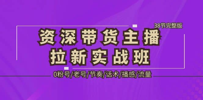 资深·带货主播拉新实战班，0粉号/老号/节奏/话术/播感/流量-38节完整版-海淘下载站