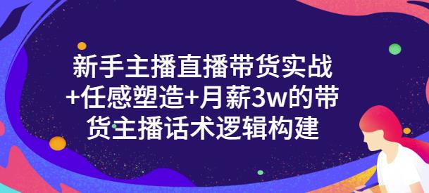 新手主播直播带货实战+信任感塑造+月薪3w的带货主播话术逻辑构建-海淘下载站