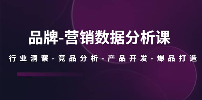 品牌-营销数据分析课，行业洞察-竞品分析-产品开发-爆品打造-海淘下载站