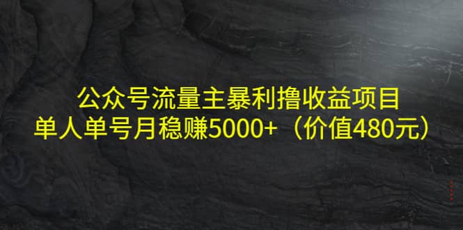 公众号流量主暴利撸收益项目，单人单号月稳赚5000+（价值480元）-海淘下载站
