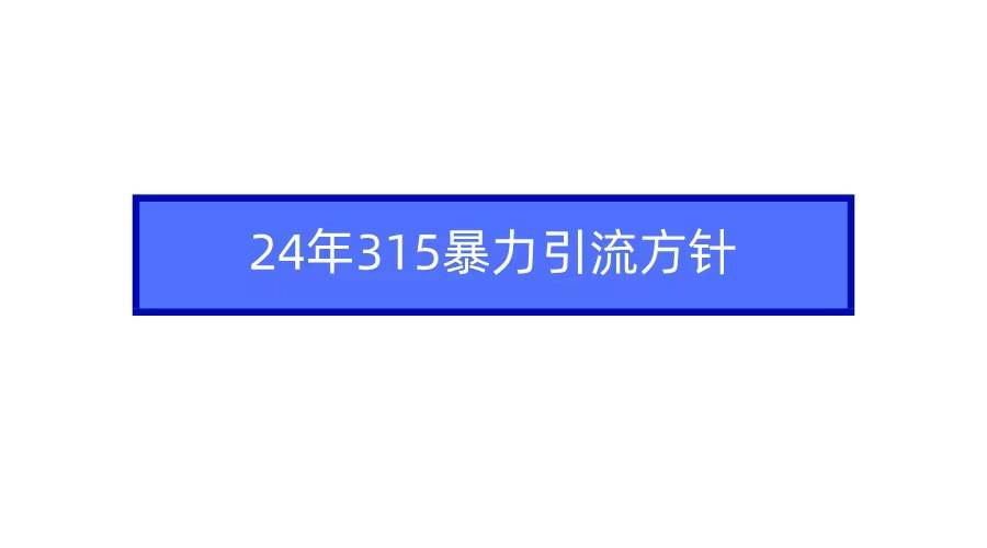 2024年315暴力引流方针-海淘下载站