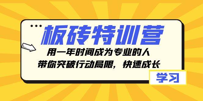 板砖特训营，用一年时间成为专业的人，带你突破行动局限，快速成长-海淘下载站