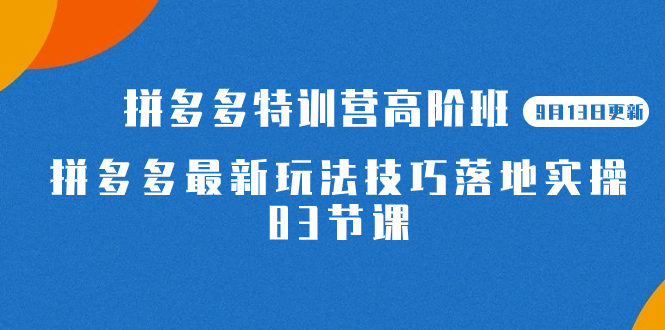 2023拼多多·特训营高阶班【9月13日更新】拼多多最新玩法技巧落地实操-83节-海淘下载站
