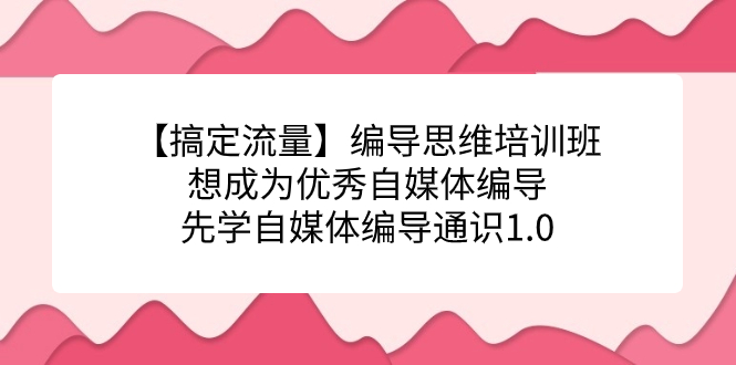 【搞定流量】编导思维培训班，想成为优秀自媒体编导先学自媒体编导通识1.0-海淘下载站