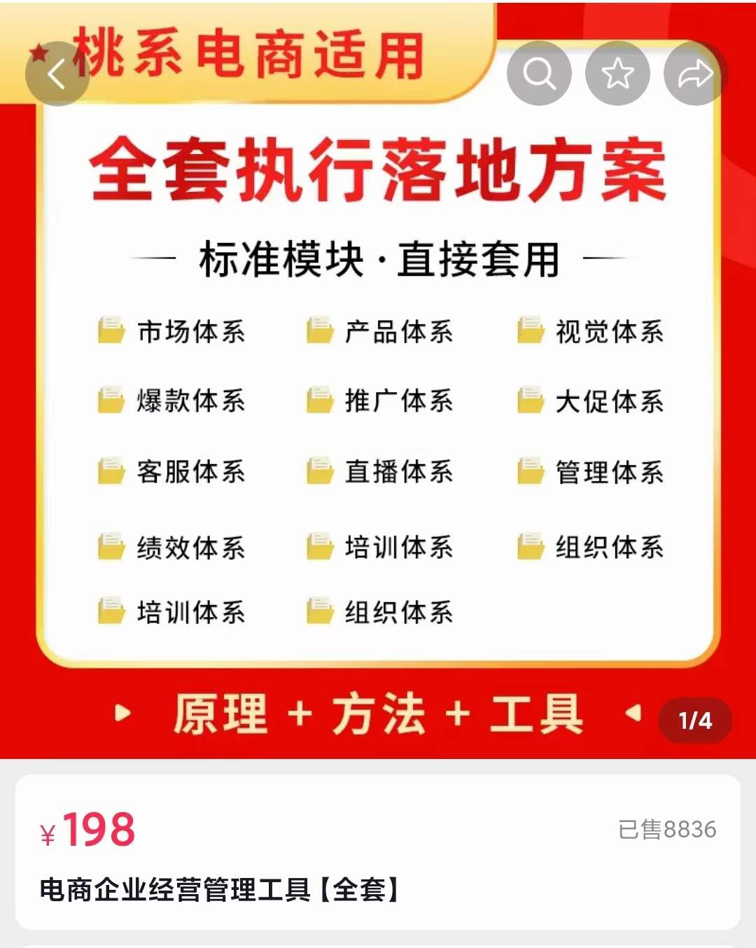 外面卖198·电商企业经营管理工具:全套执行落地方案 标准模块·直接套用-海淘下载站