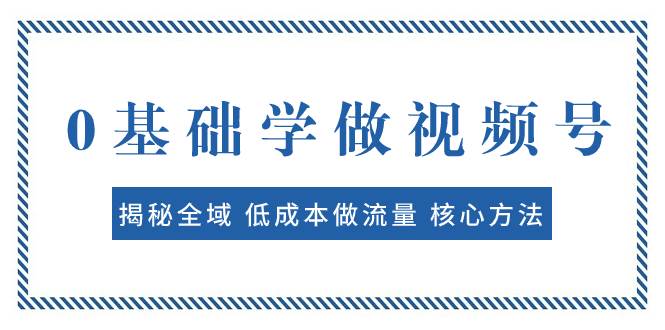 0基础学做视频号：揭秘全域 低成本做流量 核心方法  快速出爆款 轻松变现-海淘下载站
