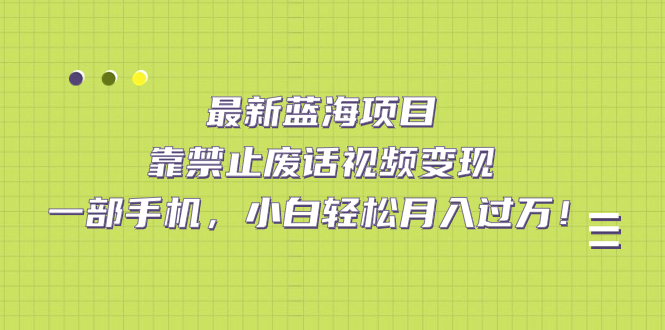 最新蓝海项目，靠禁止废话视频变现，一部手机，小白轻松月入过万！-海淘下载站