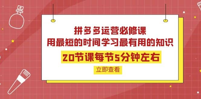 拼多多运营必修课：20节课每节5分钟左右，用最短的时间学习最有用的知识-海淘下载站