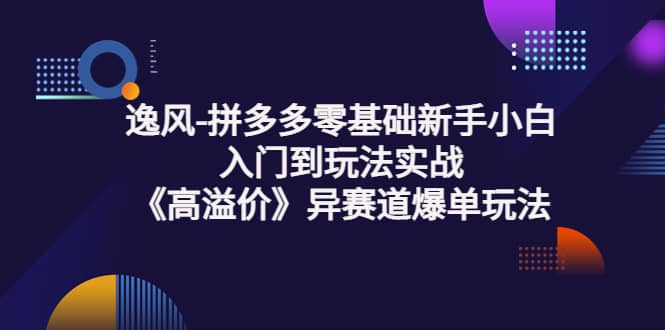 拼多多零基础新手小白入门到玩法实战《高溢价》异赛道爆单玩法实操课-海淘下载站