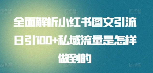 全面解析小红书图文引流日引100私域流量是怎样做到的-海淘下载站