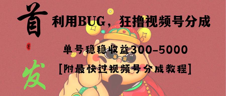 全网独家首发，视频号BUG，超短期项目，单号每日净收益300-5000！-海淘下载站