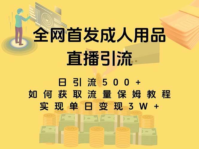 最新全网独创首发，成人用品直播引流获客暴力玩法，单日变现3w保姆级教程-海淘下载站