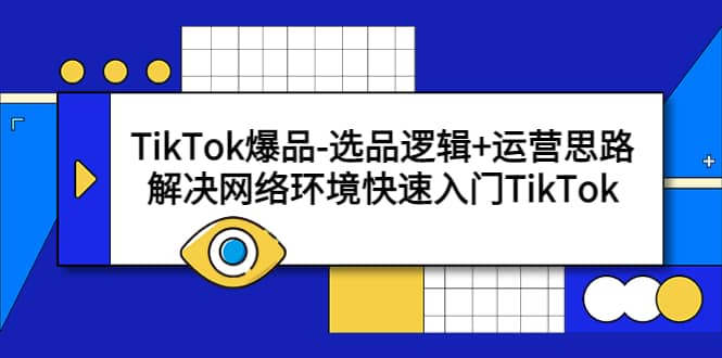 TikTok爆品-选品逻辑+运营思路：解决网络环境快速入门TikTok-海淘下载站