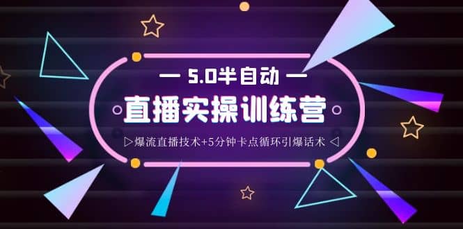 蚂蚁·5.0半自动直播2345打法，半自动爆流直播技术+5分钟卡点循环引爆话术-海淘下载站