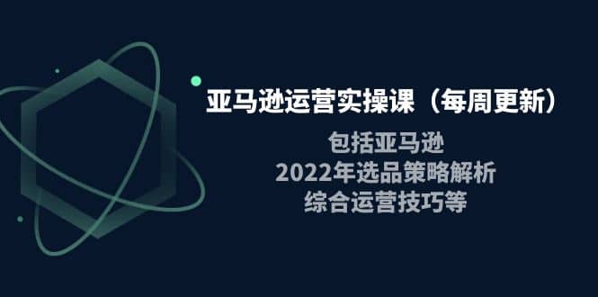 亚马逊运营实操课（每周更新）包括亚马逊2022选品策略解析，综合运营技巧等-海淘下载站