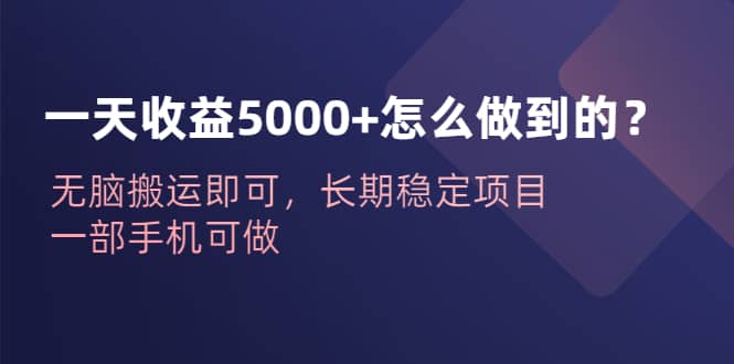 一天收益5000+怎么做到的？无脑搬运即可，长期稳定项目，一部手机可做-海淘下载站