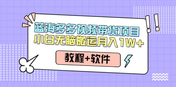 人人都能操作的蓝海多多视频带货项目 小白无脑搬运（教程+软件）-海淘下载站