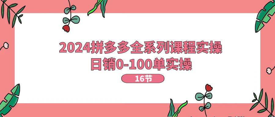 2024拼多多全系列课程实操，日销0-100单实操【16节课】-海淘下载站