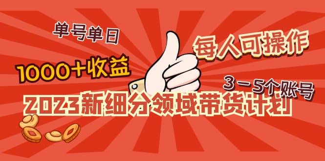 2023新细分领域带货计划：单号单日1000+收益不难，每人可操作3-5个账号-海淘下载站