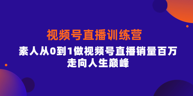 视频号直播训练营，素人从0到1做视频号直播销量百万，走向人生巅峰-海淘下载站