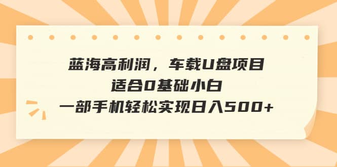 蓝海高利润,车载U盘项目,适合0基础小白,一部手机轻松实现日入500+-海淘下载站