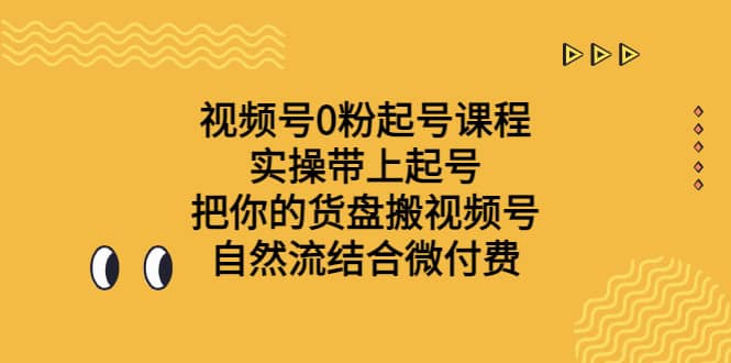 视频号0粉起号课程 实操带上起号 把你的货盘搬视频号 自然流结合微付费-海淘下载站
