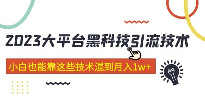 价值4899的2023大平台黑科技引流技术 29节课-海淘下载站