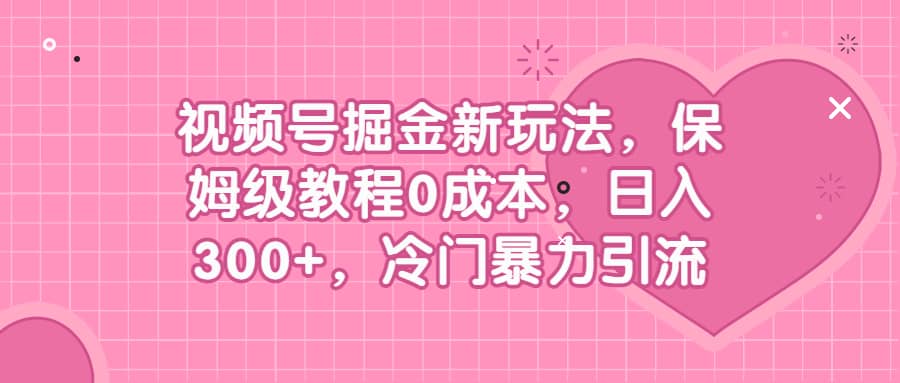 视频号掘金新玩法，保姆级教程0成本，日入300+，冷门暴力引流-海淘下载站