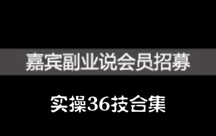 嘉宾副业说实操36技合集，价值1380元-海淘下载站