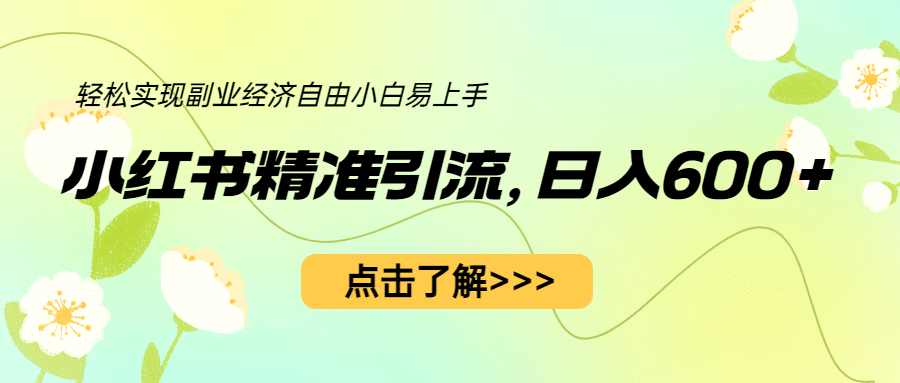 小红书精准引流，小白日入600+，轻松实现副业经济自由（教程+1153G资源）-海淘下载站