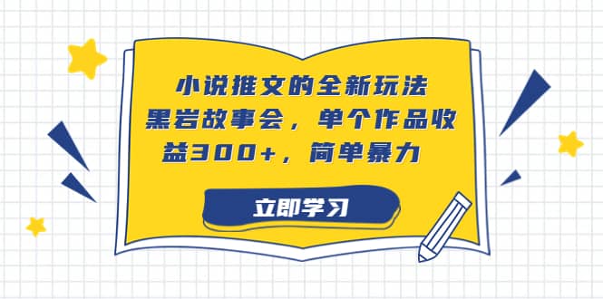 小说推文的全新玩法，黑岩故事会，单个作品收益300+，简单暴力-海淘下载站