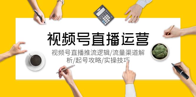 视频号直播运营，视频号直播推流逻辑/流量渠道解析/起号攻略/实操技巧-海淘下载站