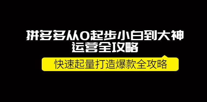 拼多多从0起步小白到大神运营全攻略-海淘下载站