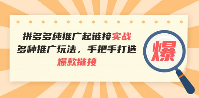 拼多多纯推广起链接实战：多种推广玩法，手把手打造爆款链接-海淘下载站