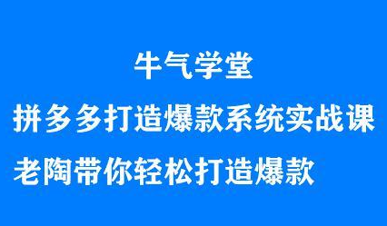 牛气学堂拼多多打造爆款系统实战课，老陶带你轻松打造爆款-海淘下载站