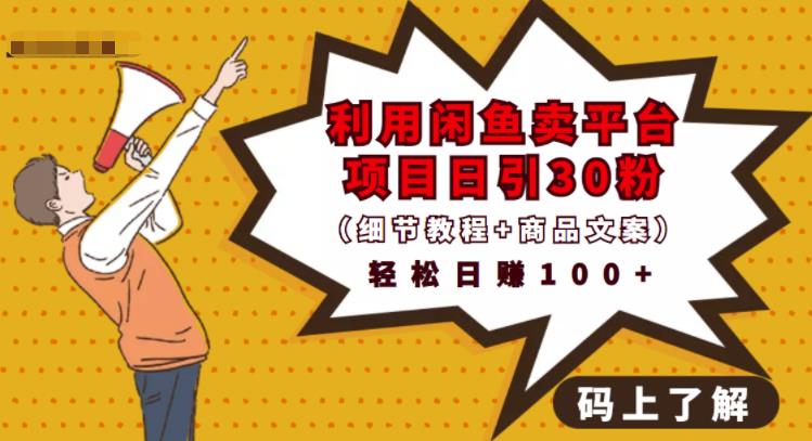 利用闲鱼卖平台项目课程资源日引流30+精准粉丝，轻松日赚100+，积累人脉可实现二次变现（细节教程+商品文案）-海淘下载站