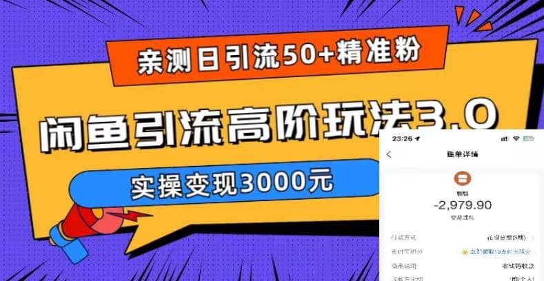 实测日引50+精准粉，闲鱼引流高阶玩法3.0，实操变现3000元-海淘下载站