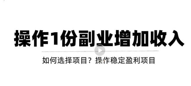 新手如何通过操作副业增加收入，从项目选择到玩法分享！【视频教程】-海淘下载站