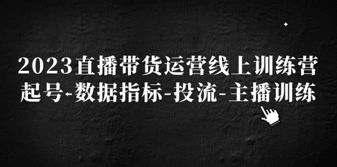 2023直播带货运营线上训练营，起号-数据指标-投流-主播训练-海淘下载站