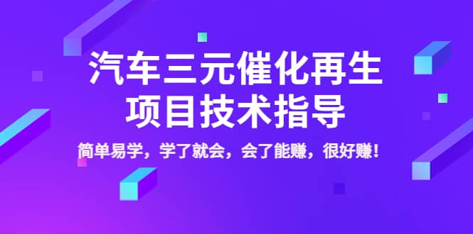 汽车三元催化再生项目技术指导，简单易学，学了就会，会了能赚，很好赚！-海淘下载站