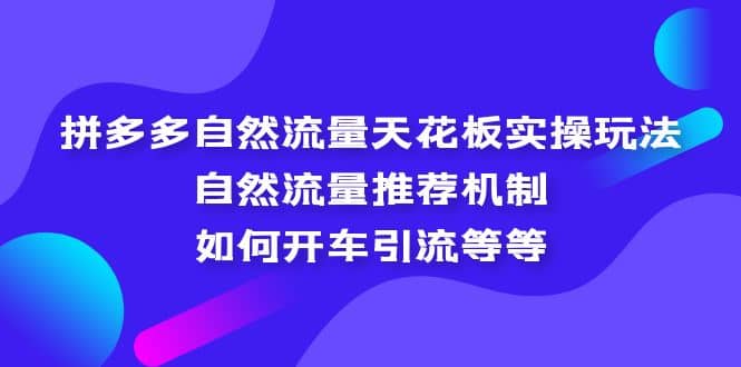 拼多多自然流量天花板实操玩法：自然流量推荐机制，如何开车引流等等-海淘下载站