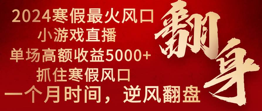 2024年最火寒假风口项目 小游戏直播 单场收益5000+抓住风口 一个月直接提车-海淘下载站