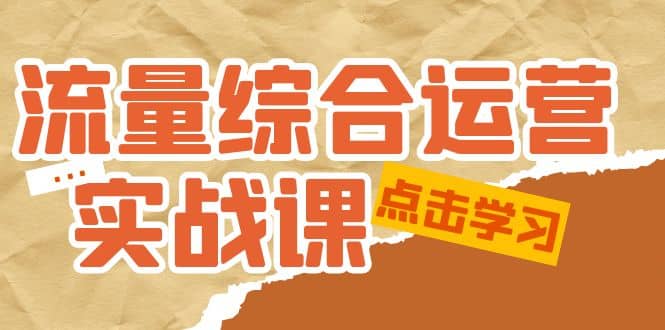 流量综合·运营实战课：短视频、本地生活、个人IP知识付费、直播带货运营-海淘下载站